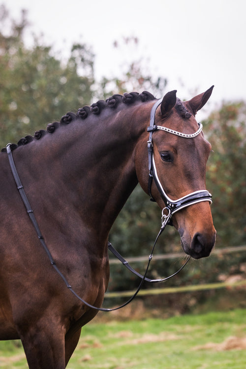 L'Anique Bitloze Hoofdstellen