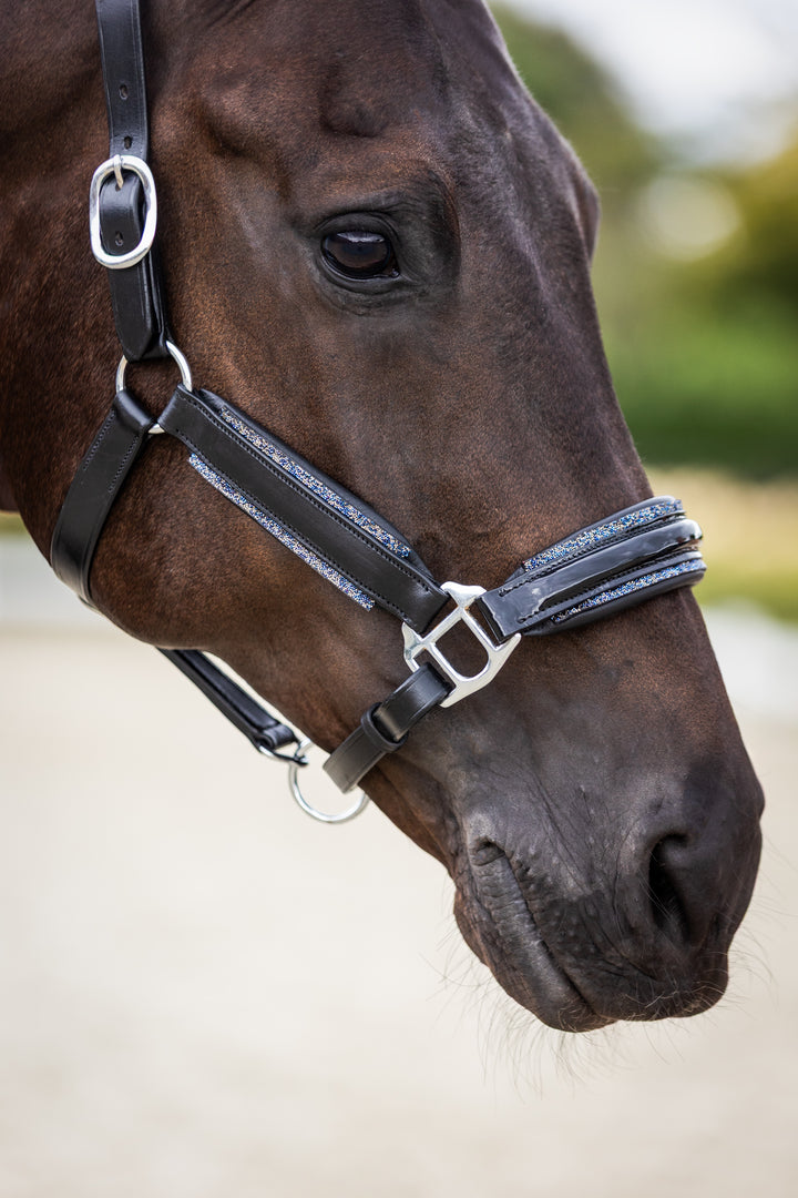 Lederen Halster Royal