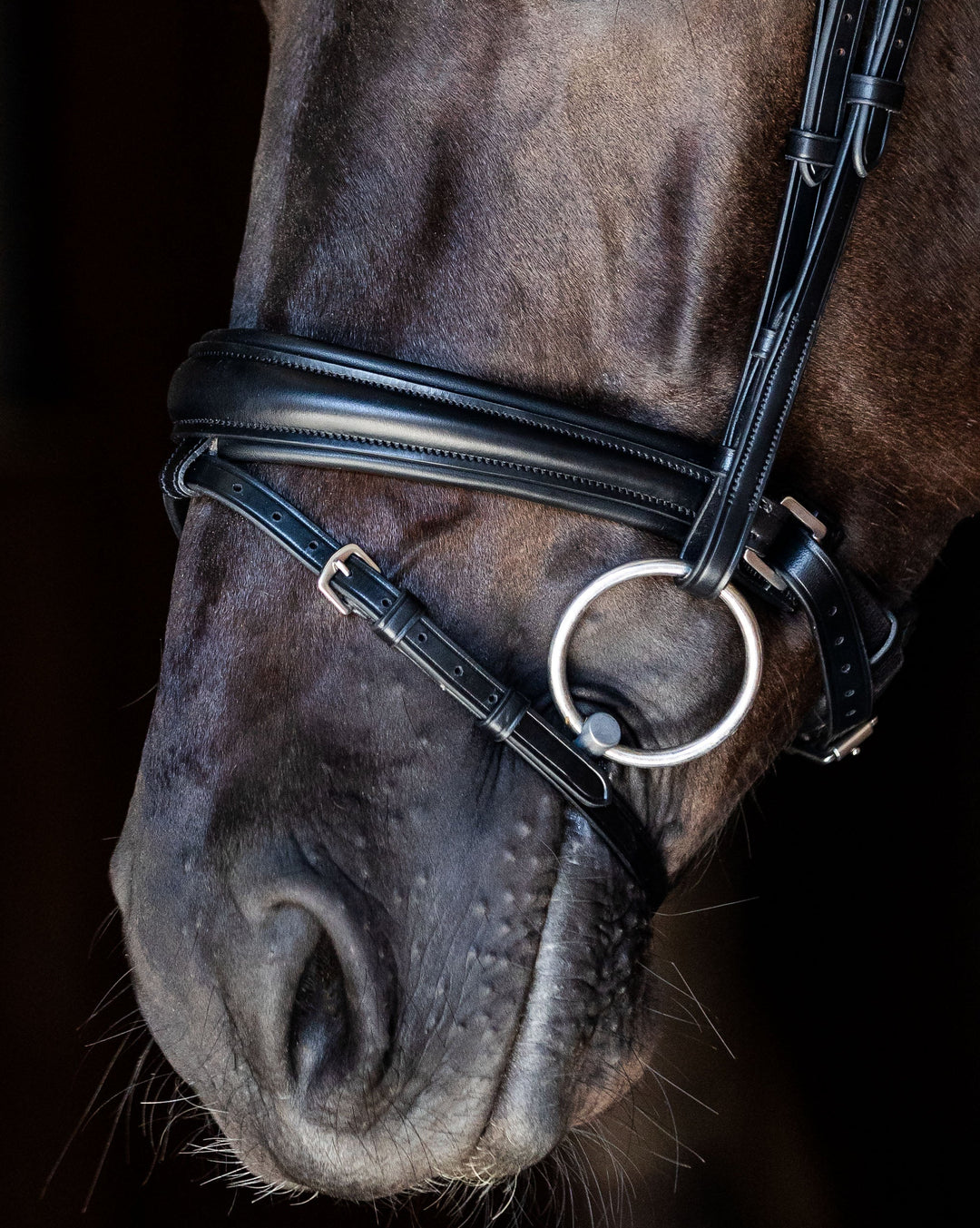 Exclusive Neusriem Precision - Matt