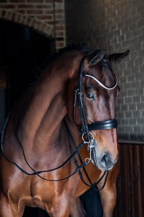 L'Anique Exclusive® hoofdstellen